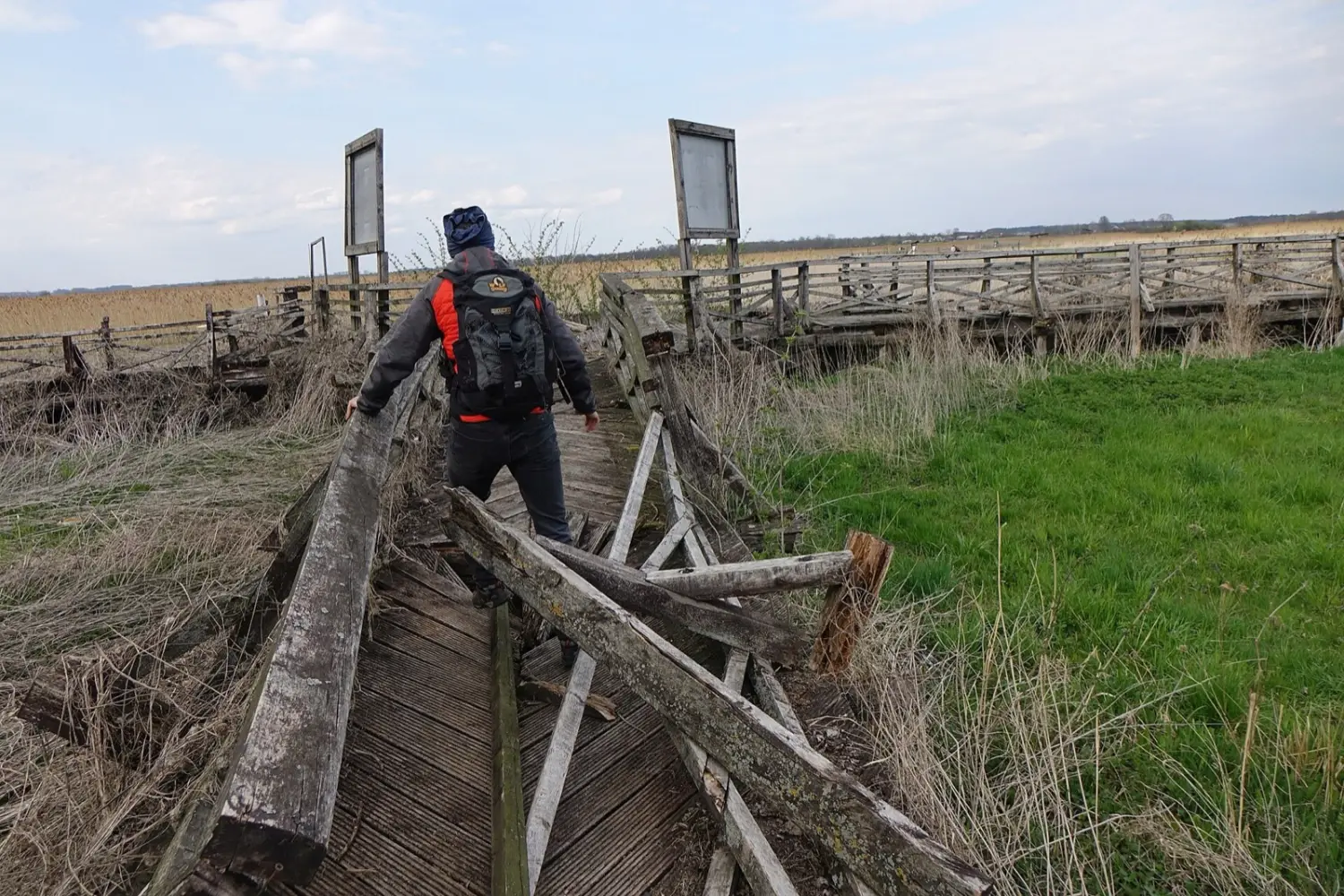 Turysta przechodzący przez pływający fragment kładki nad korytem Narwi