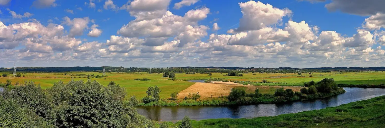 Narew pod Łomżą — rzeka i nadbrzeżne łąki